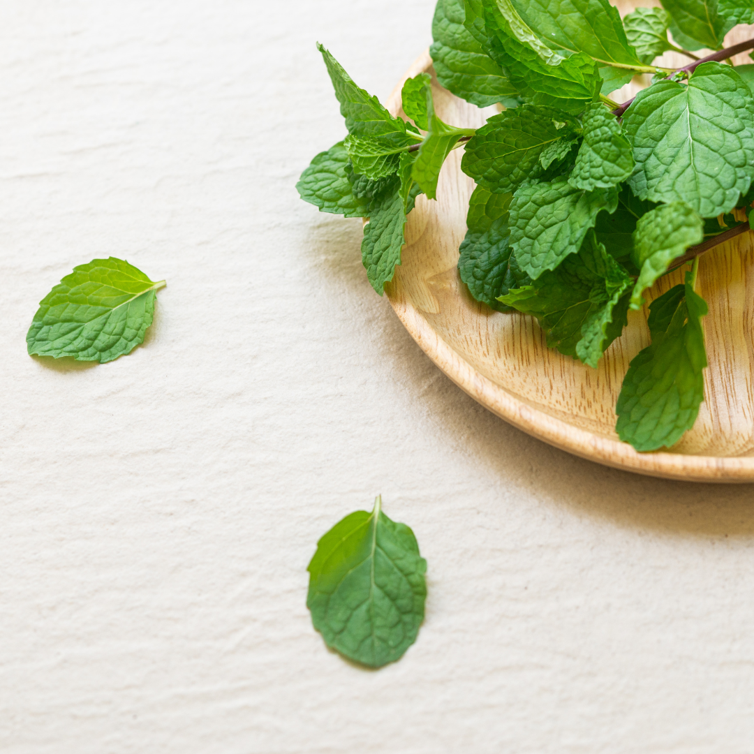 Peppermint Examples 4 Amazing Benefits of Peppermint + Simple Peppermint Tea Recipes ...