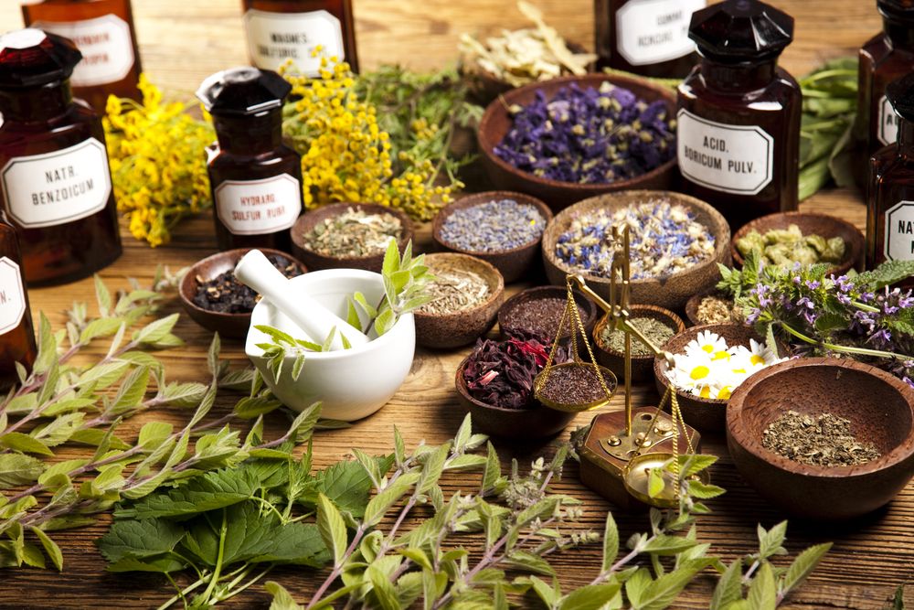 Enhancing Lactation Naturally: 7 Herbs That Can Help