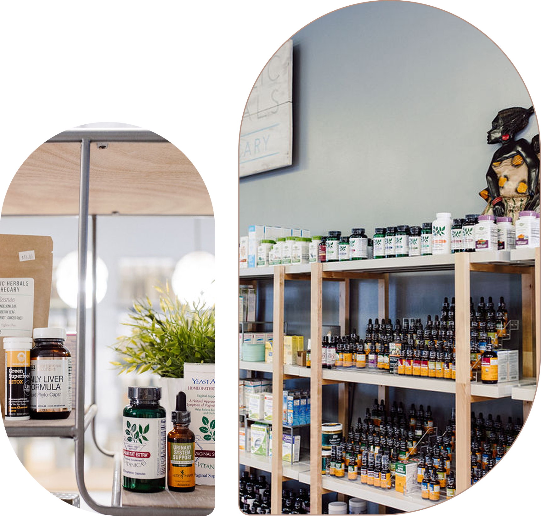 Supplements on shelves of store