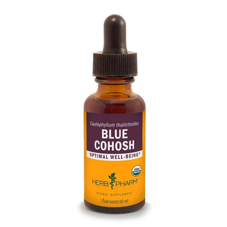 Blue Cohosh Extract