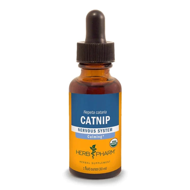 Catnip Extract