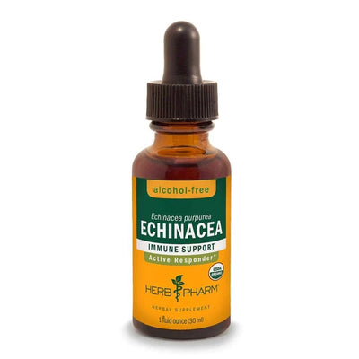 Echinacea Extract - Alcohol Free