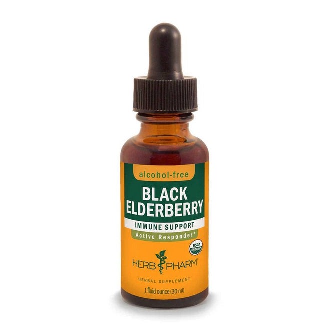 Black Elderberry Extract