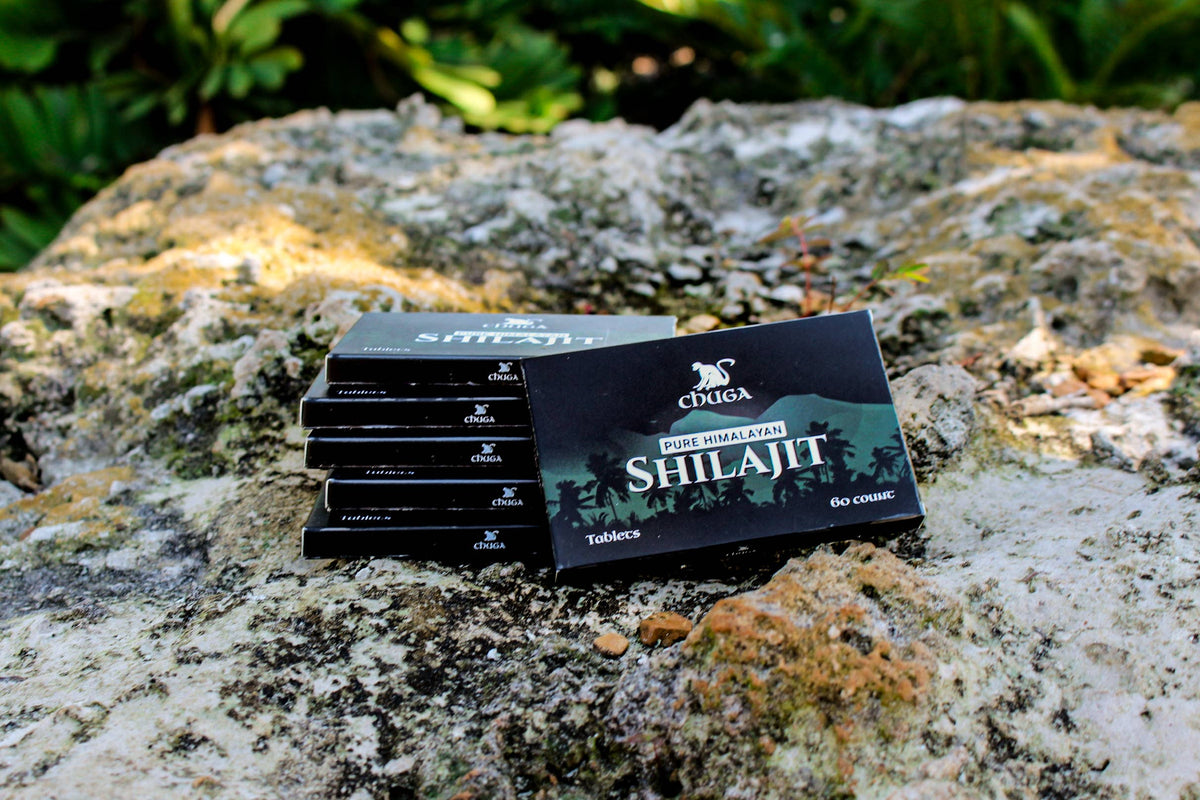 Chuga Shilajit boxes on a stone surface with greenery in the background