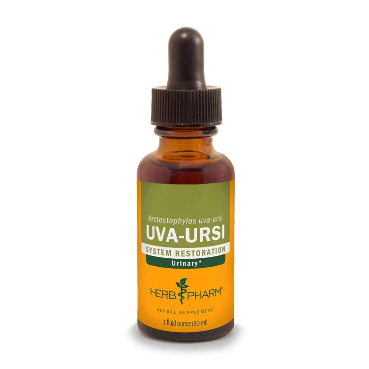 Uva Ursi Extract