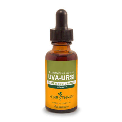 Uva Ursi Extract