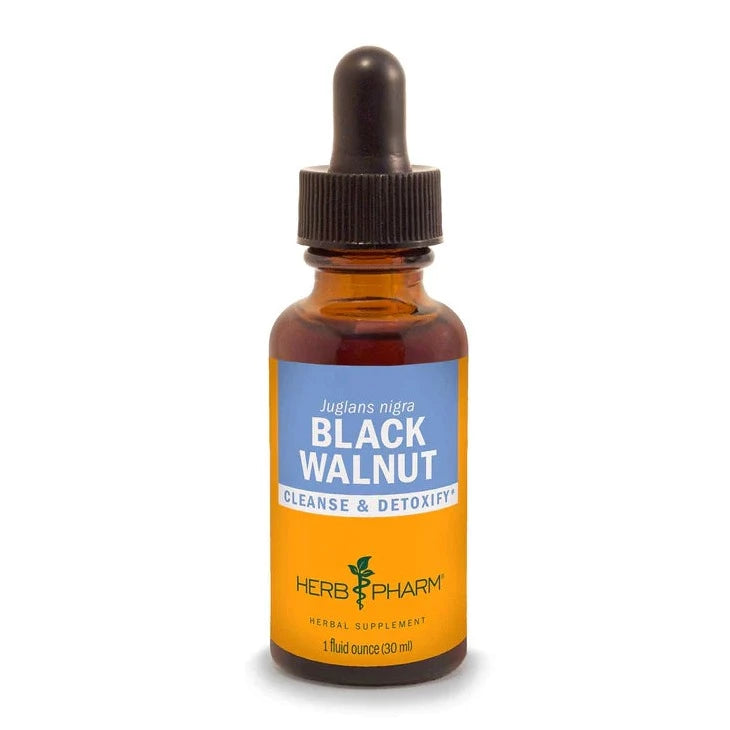 Black Walnut Extract