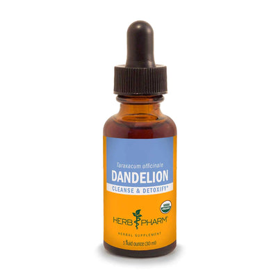 Dandelion Extract