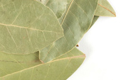 Bay Leaves