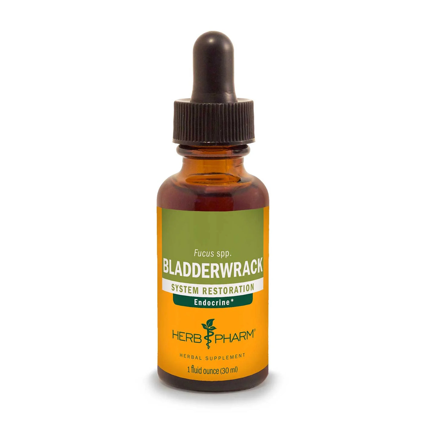 Bladderwrack Extract