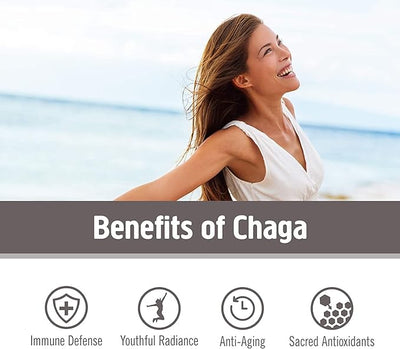 Chaga Mushroom Capsules