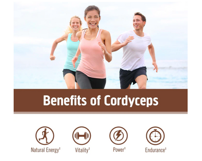 Cordyceps Mushroom Powder