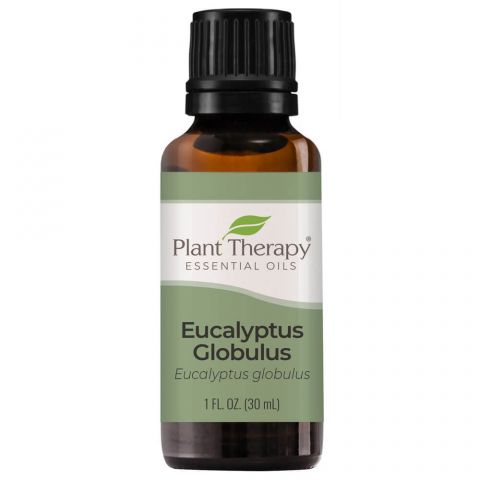 Eucalyptus Globulus Essential Oil