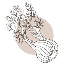Fennel Seed