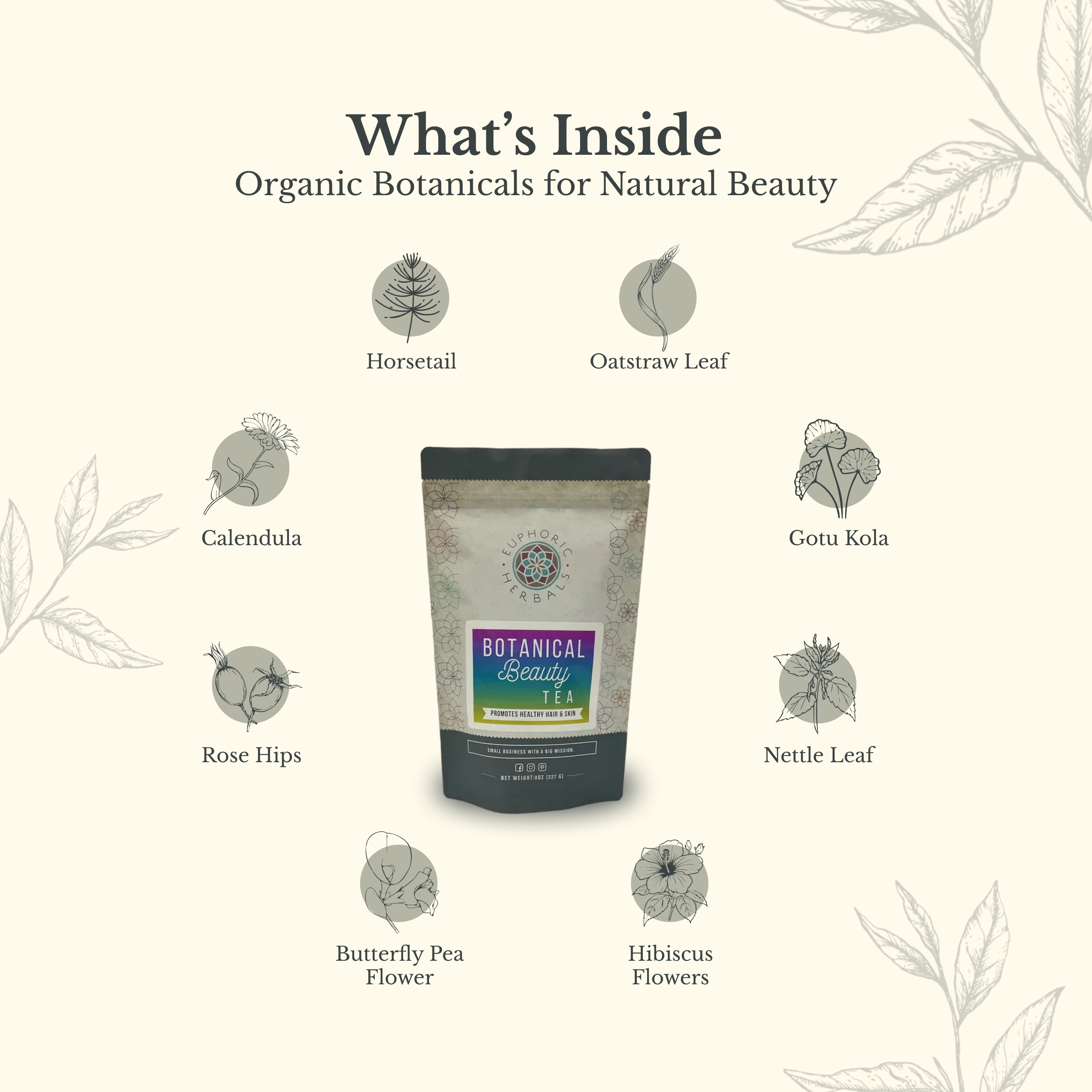 Tea package with botanical illustrations on a light background
