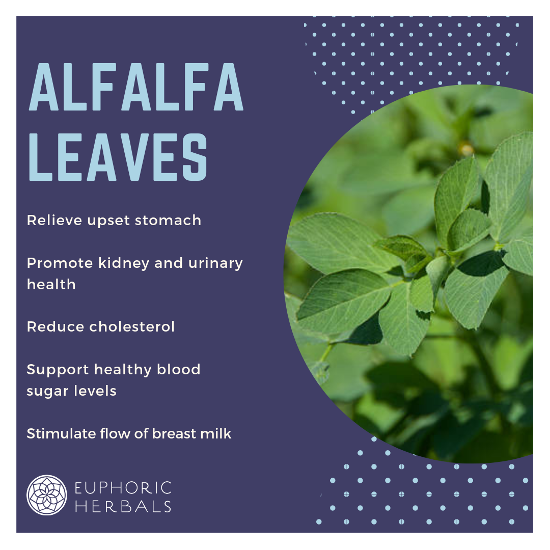 Alfalfa Leaf - Herbs ALL HERBS ARE SOLD BY OUNCE. ORGANIC OR ETHICALLY WILDCRAFTED. This product is sold at our local