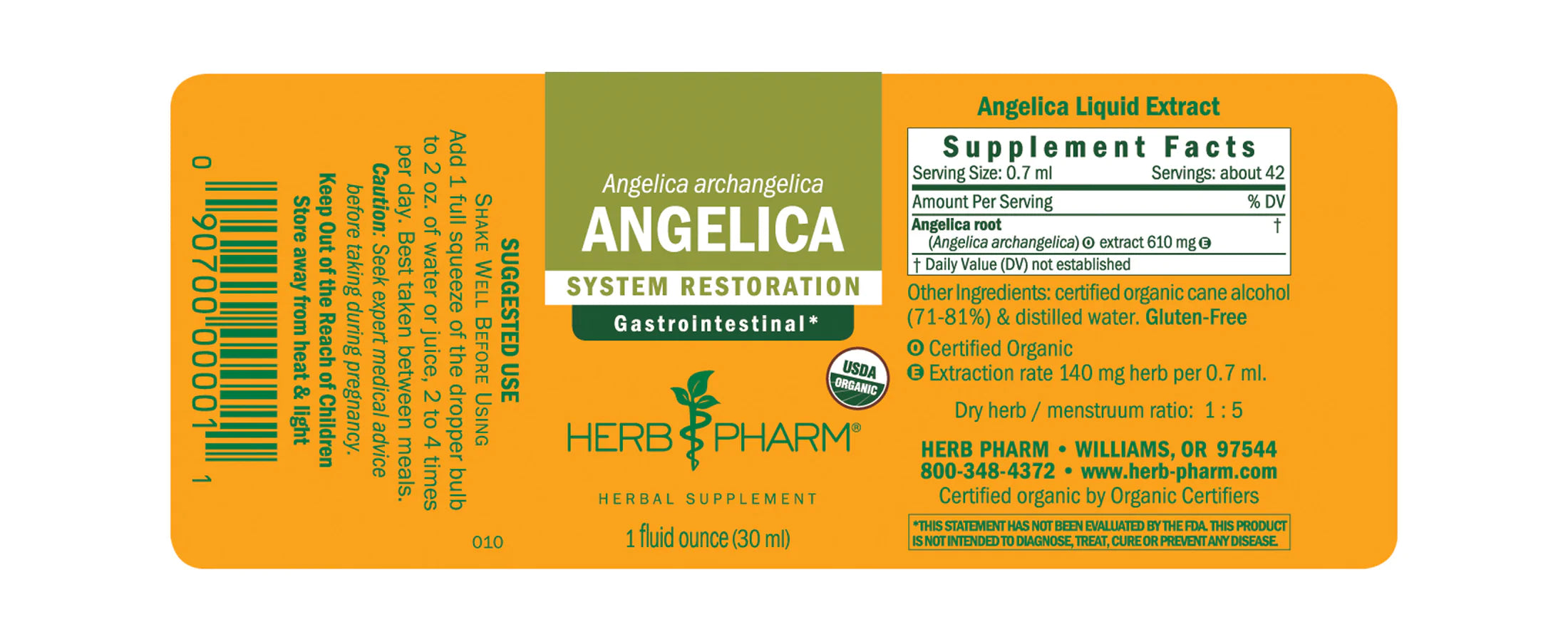 Angelica Extract - Extracts