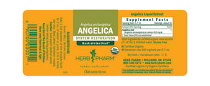 Angelica Extract - Extracts