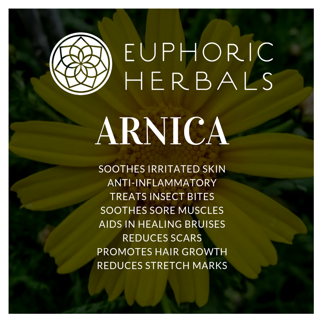 Arnica Flowers - Herbs