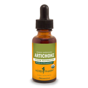 Artichoke Extract