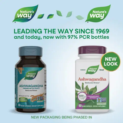 Ashwagandha Root Capsules - Supplements