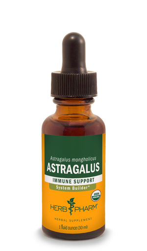 Astragalus Extract - Extracts