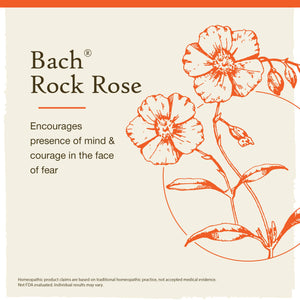 Bach Original Flower Remedies Rock Rose - Apothecary