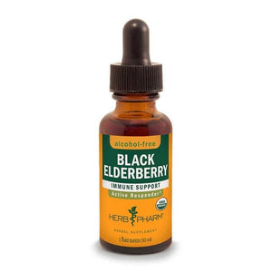 Black Elderberry Extract - Extracts