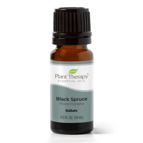 Black Spruce Essential Oil - Oils