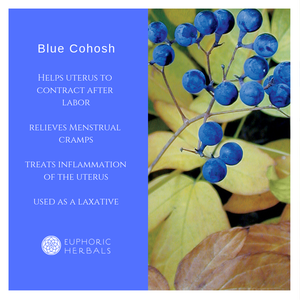 Blue Cohosh Root - Herbs