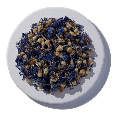 Blue Cornflower