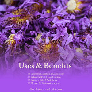 Blue Lotus Flower - Herbs flowers from Euphoric Herbals offer relaxation and stress relief. These dried feature purple