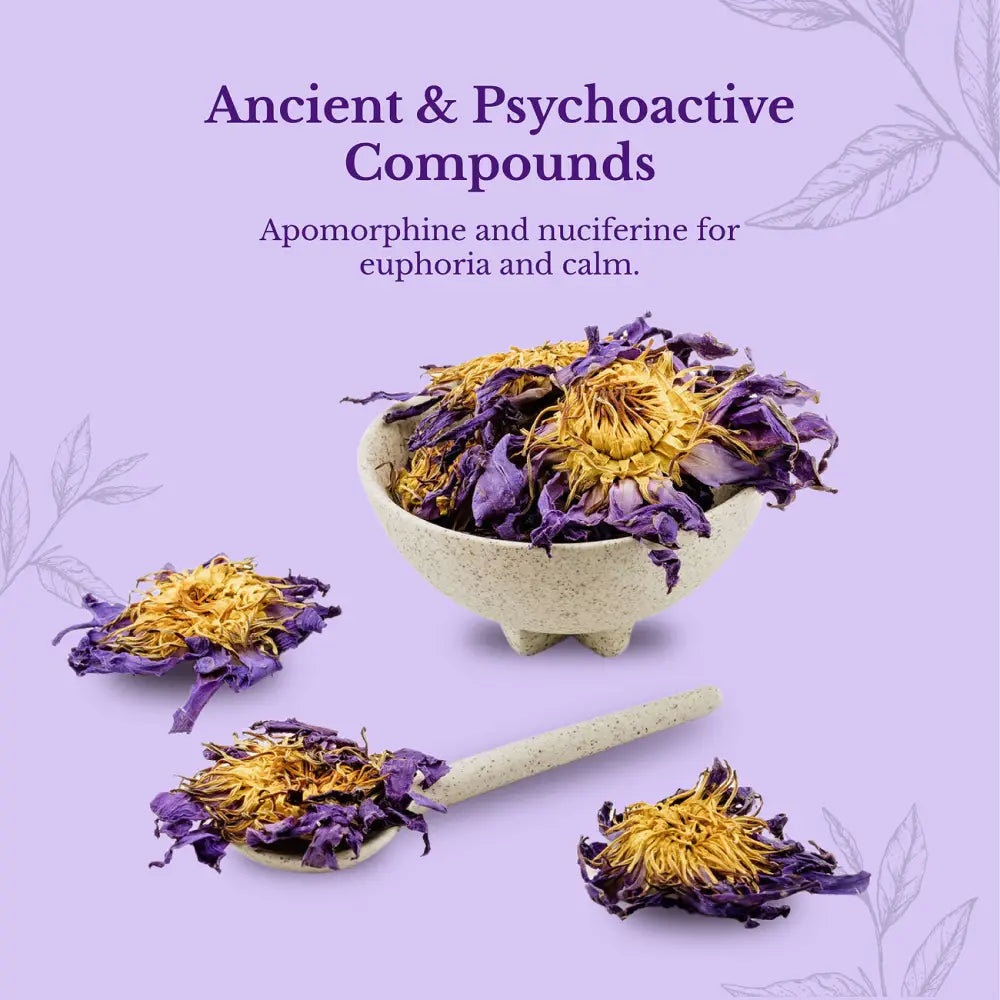 Blue Lotus Flower - Herbs flowers from Euphoric Herbals offer relaxation and stress relief. These dried feature purple