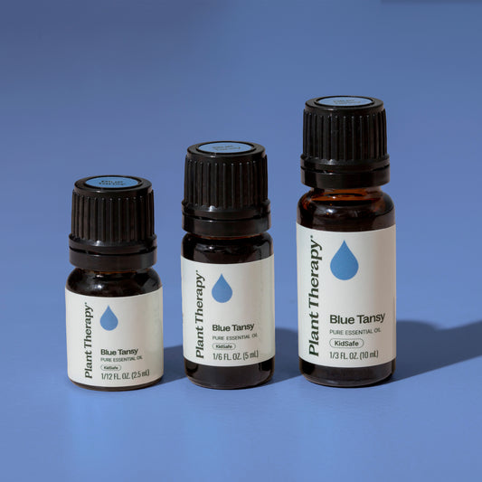 Blue Tansy Essential Oil - Oils