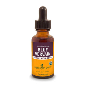 Blue Vervain Extract - Extracts