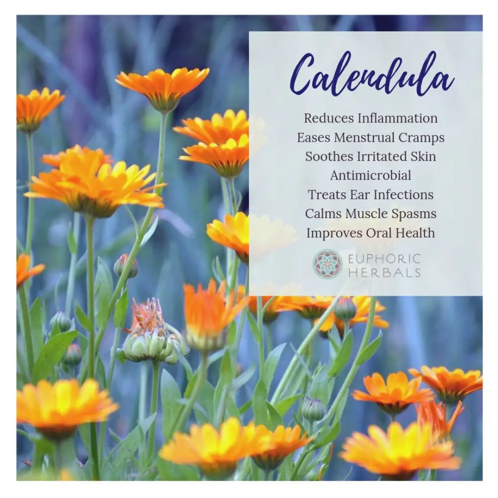 Calendula Flowers - Herbs Elevate your skincare with our premium Flowers. Organically grown vibrant bring a burst