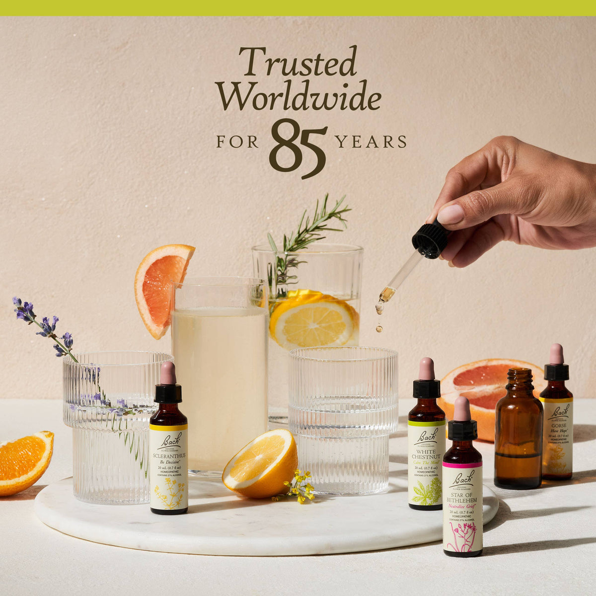 Clematis Bach Flower Remedies - Apothecary