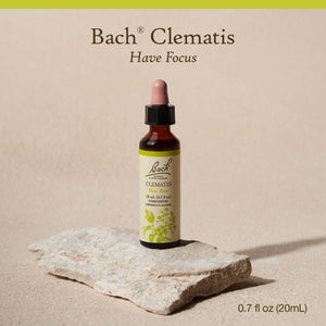 Clematis Bach Flower Remedies - Apothecary