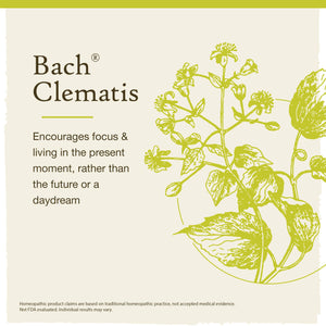 Clematis Bach Flower Remedies - Apothecary