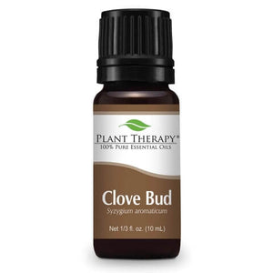 Clove Bud Essential Oil - Oils