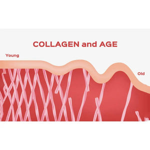 Collagen+ with Biotin & Hyaluronic Acid + Vitamin C - Apothecary This grass-fed powder contains and C. These peptides