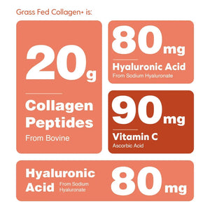 Collagen+ with Biotin & Hyaluronic Acid + Vitamin C - Apothecary This grass-fed powder contains and C. These peptides