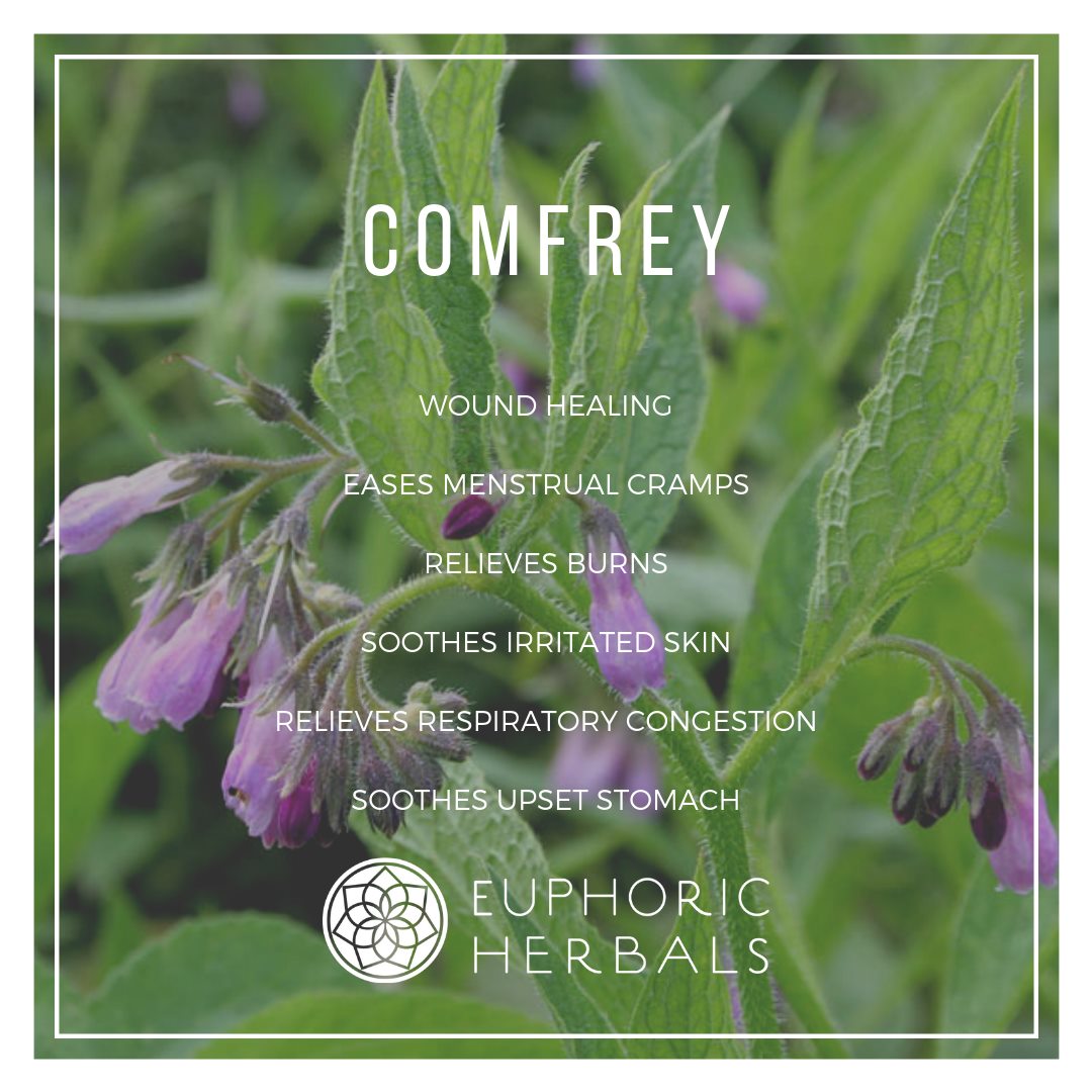 Comfrey Leaf - Herbs