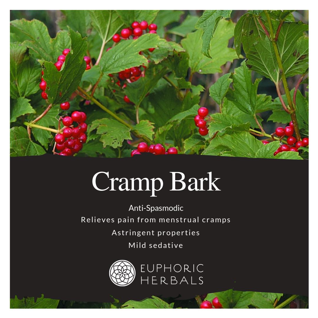 Cramp Bark - Herbs