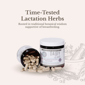 Dairy Diva - Breastfeeding Supplement - Increase Milk Supply Boost milk naturally with premium breastfeeding herbal