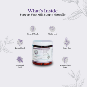 Dairy Fairy - Breastfeeding Supplement - Increase Milk Supply Compound herbal formula for mothers seeking to increase