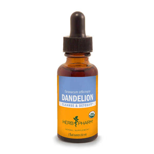Dandelion Extract - Extracts