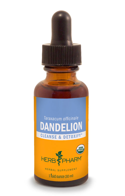 Dandelion Extract - Extracts