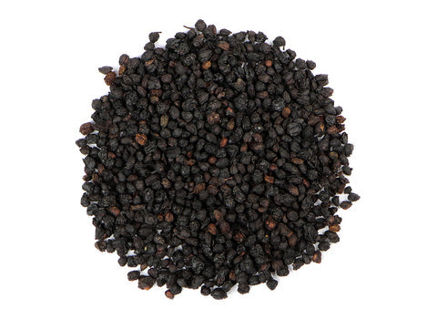 Elderberry - Herbs Boost Your Immune Health with Elderberry! Discover the powerful benefits of elderberry for immune