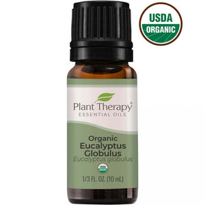 Eucalyptus Globulus Essential Oil - 100ML (Organic) - Oils